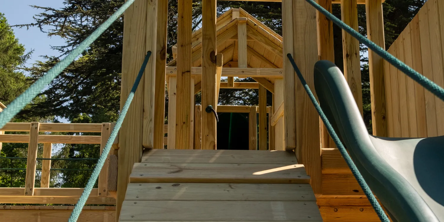 Alfie and Zoe image 3